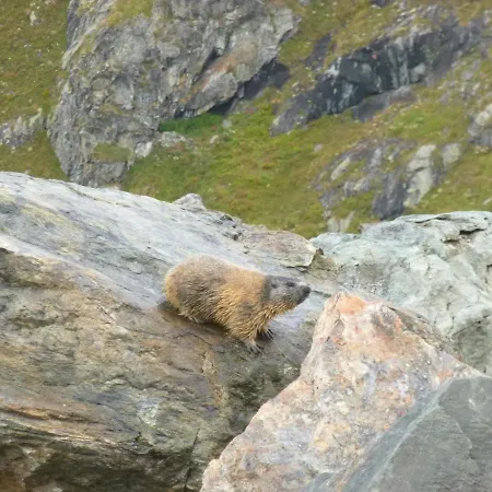 * Lioutraz * Chamonix